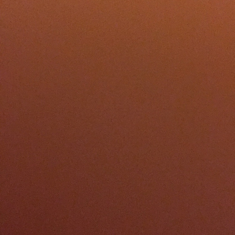 Meet your Posher, Rosa